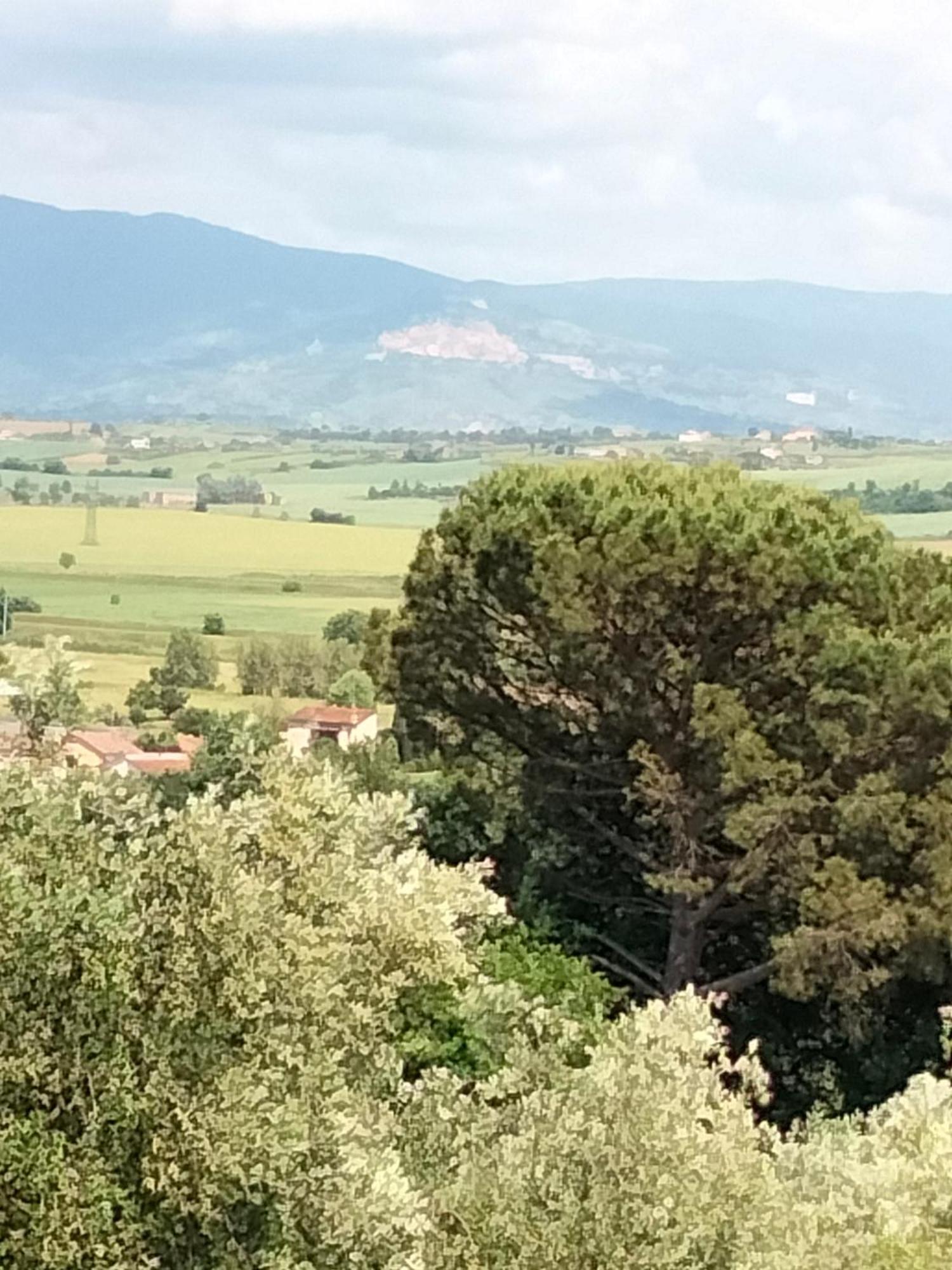 Villa Spaccasole Su Cortona Foiano Della Chiana Luaran gambar