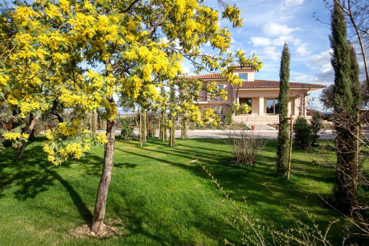 Villa Spaccasole Su Cortona Foiano Della Chiana Luaran gambar